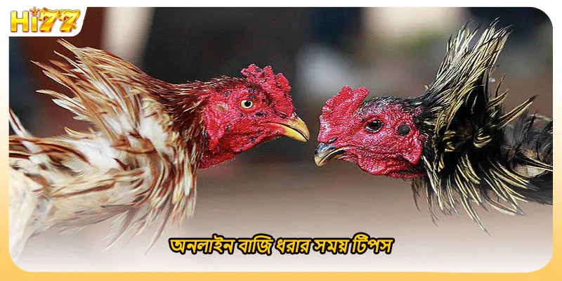 (ছবি: অনলাইন বাজি ধরার সময় টিপস)