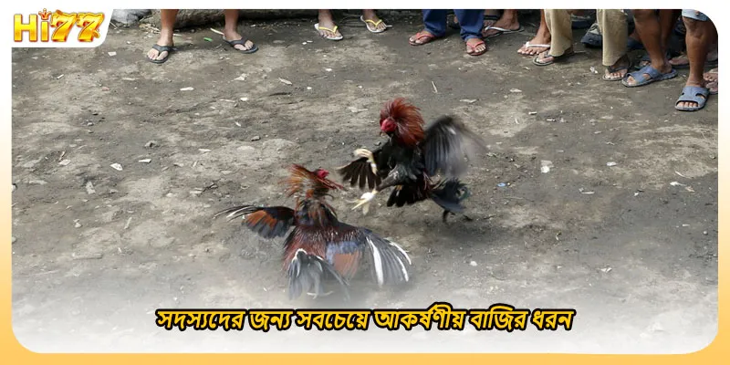 (ছবি: সদস্যদের জন্য সবচেয়ে আকর্ষণীয় বাজির ধরন)